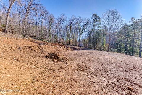 Tiny photo for 4016 Guinn Rd, Knoxville, TN 37931 (MLS # 1331584)