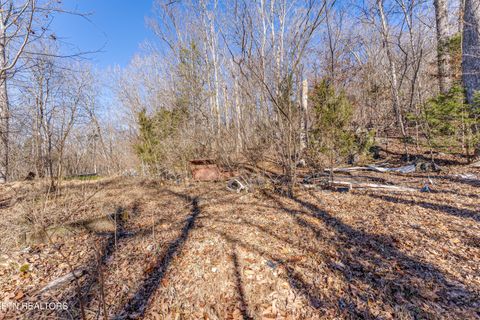 Tiny photo for 4016 Guinn Rd, Knoxville, TN 37931 (MLS # 1331584)