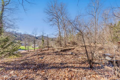 Tiny photo for 4016 Guinn Rd, Knoxville, TN 37931 (MLS # 1331584)