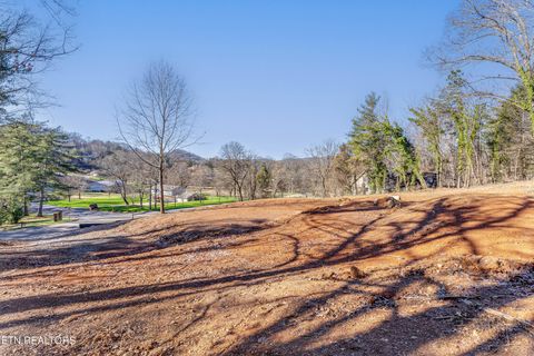 Tiny photo for 4016 Guinn Rd, Knoxville, TN 37931 (MLS # 1331584)