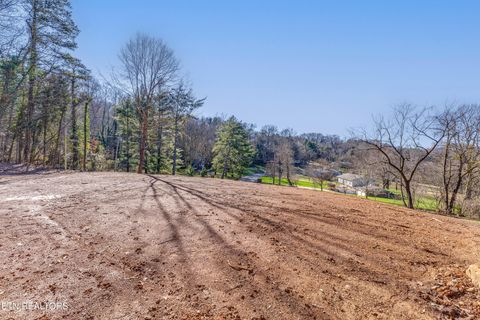 Tiny photo for 4016 Guinn Rd, Knoxville, TN 37931 (MLS # 1331584)
