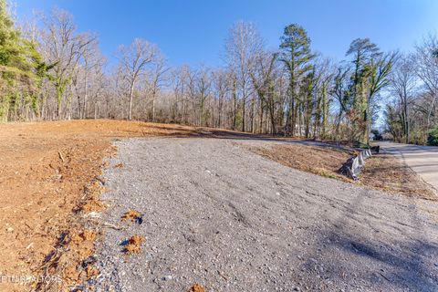 Tiny photo for 4016 Guinn Rd, Knoxville, TN 37931 (MLS # 1331584)