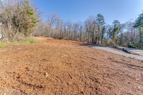 Tiny photo for 4016 Guinn Rd, Knoxville, TN 37931 (MLS # 1331584)