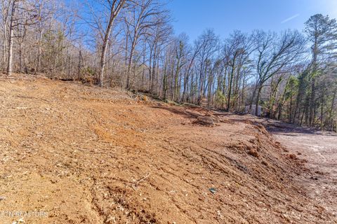 Tiny photo for 4016 Guinn Rd, Knoxville, TN 37931 (MLS # 1331584)