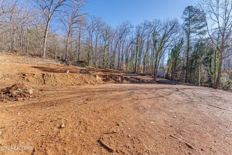 Tiny photo for 4016 Guinn Rd, Knoxville, TN 37931 (MLS # 1331584)