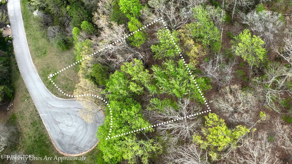 Photo of 765 Wood Duck Drive, Vonore, TN 37885 (MLS # 1333393)