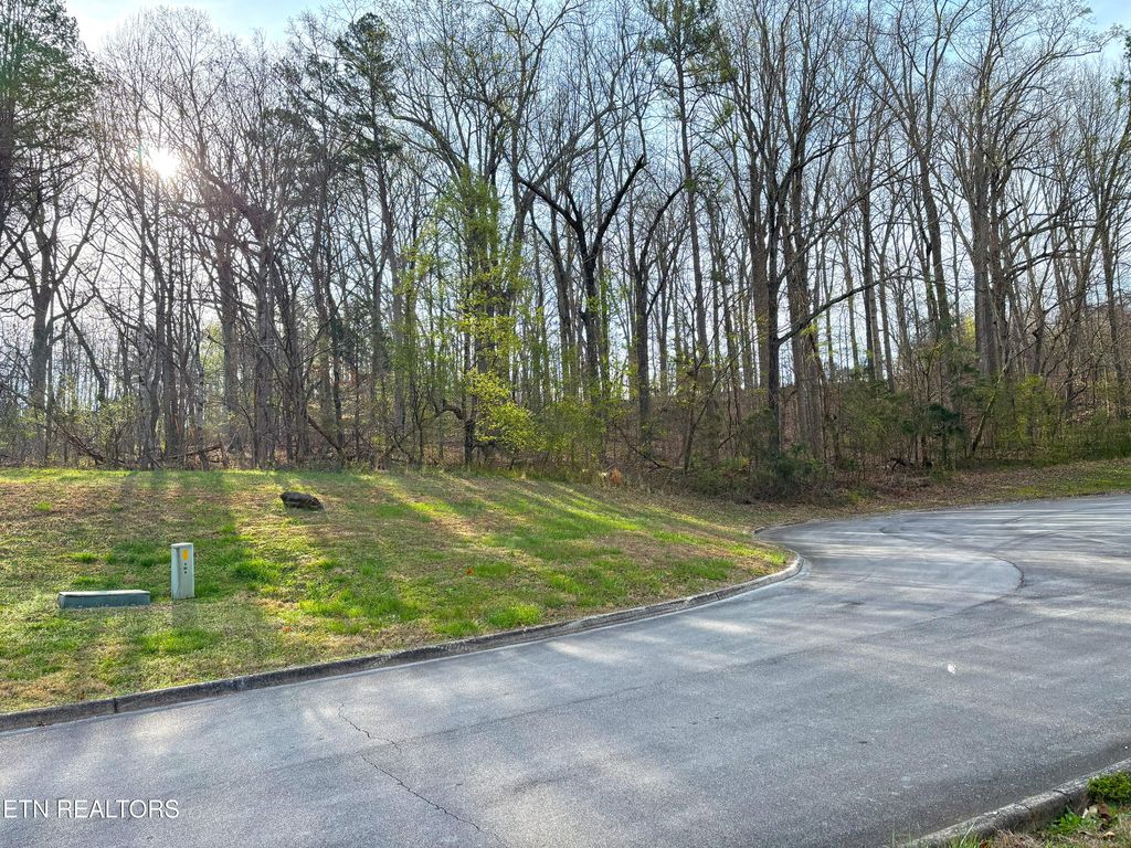 Photo of 765 Wood Duck Drive, Vonore, TN 37885 (MLS # 1333393)