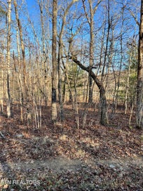 153 Manchester Rd Crossville TN 38558