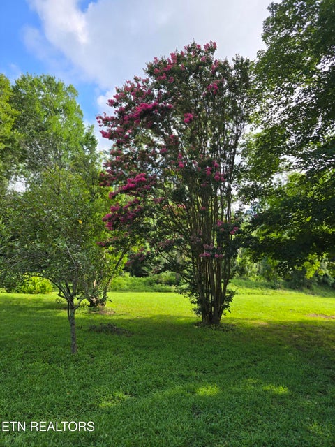 Tiny photo for 6117 Hills Creek Rd, McMinnville, TN 37110 (MLS # 1355817)