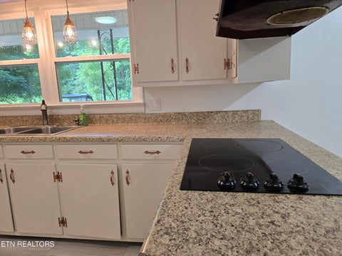 Tiny photo for 6117 Hills Creek Rd, McMinnville, TN 37110 (MLS # 1355817)