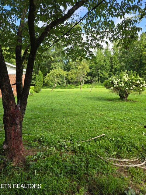 Tiny photo for 6117 Hills Creek Rd, McMinnville, TN 37110 (MLS # 1355817)
