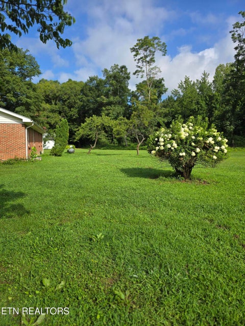 Tiny photo for 6117 Hills Creek Rd, McMinnville, TN 37110 (MLS # 1355817)