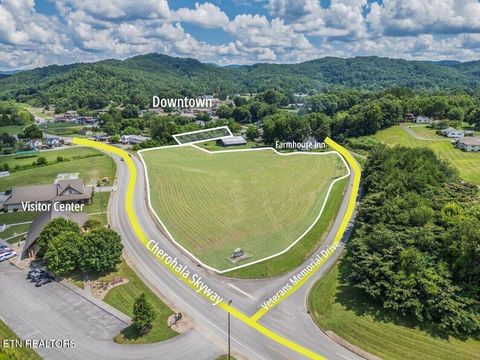 1A Cherohala Skyway Tellico Plains TN 37385