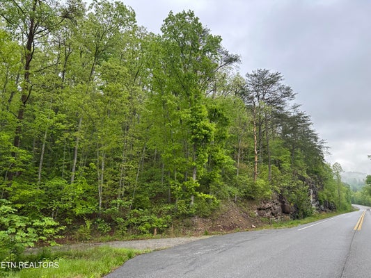 8472 HIGHWAY 25 W N, DUFF, TN 37729 - Image 85c30432e65658eb15d71b2bab511ee2/1163353549