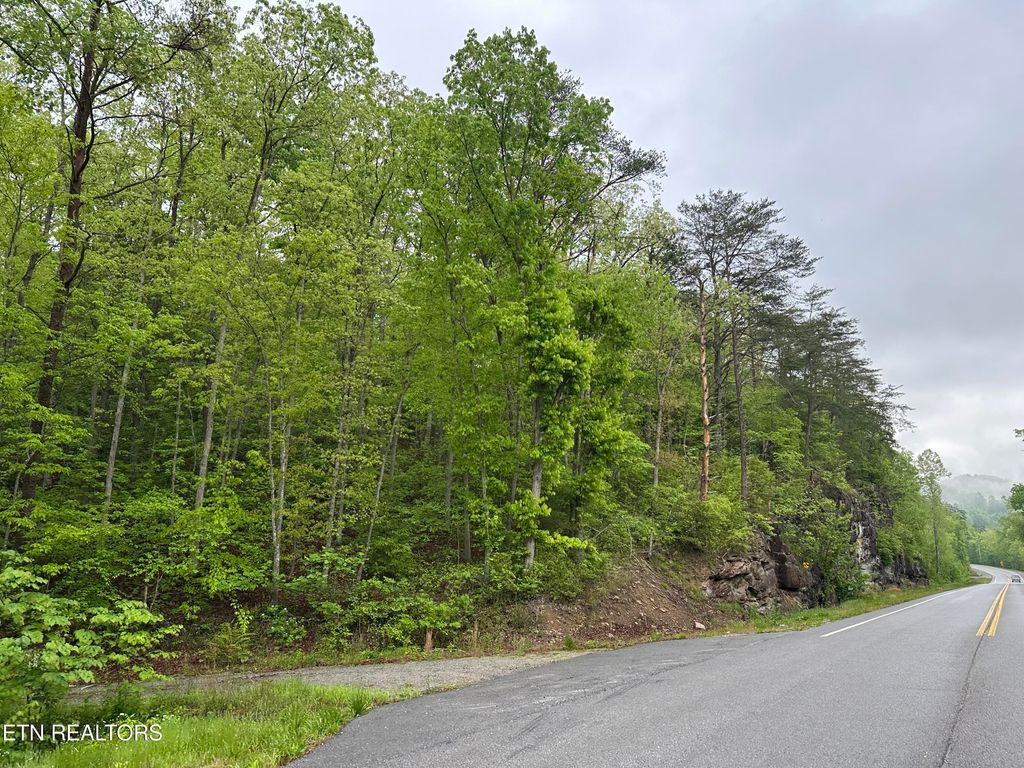 Photo of 8472 Highway 25 W N, Duff, TN 37729 (MLS # 1300445)