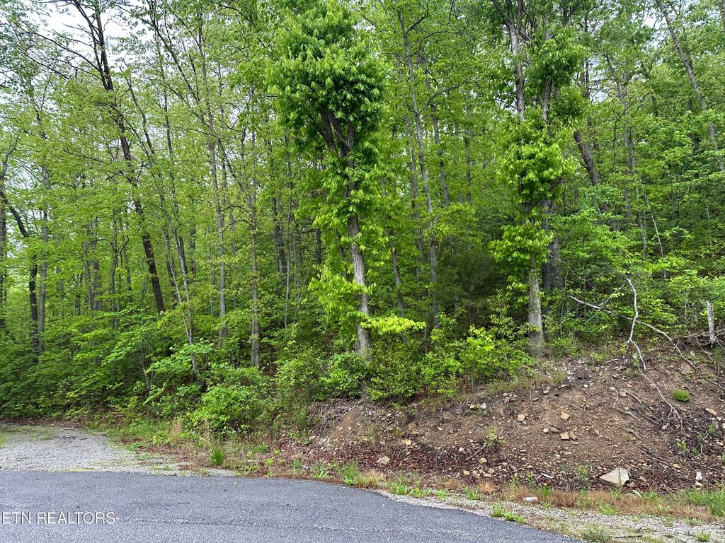 Photo of 8472 Highway 25 W N, Duff, TN 37729 (MLS # 1300445)