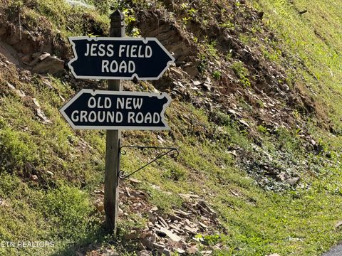 Tiny photo for 807 Old New Ground Rd, Gatlinburg, TN 37738 (MLS # 1340103)