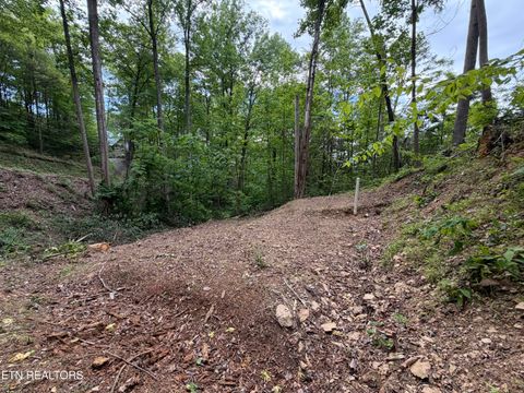 Photo of 807 Old New Ground Rd, Gatlinburg, TN 37738 (MLS # 1340103)