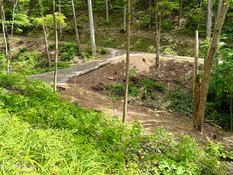 Tiny photo for 807 Old New Ground Rd, Gatlinburg, TN 37738 (MLS # 1340103)