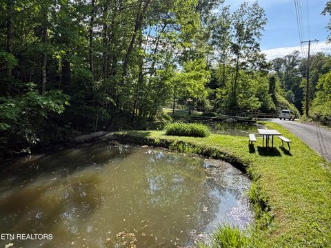 Tiny photo for 807 Old New Ground Rd, Gatlinburg, TN 37738 (MLS # 1340103)