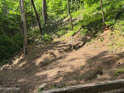 Tiny photo for 807 Old New Ground Rd, Gatlinburg, TN 37738 (MLS # 1340103)