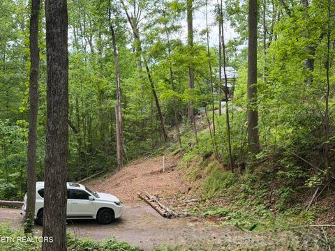 Tiny photo for 807 Old New Ground Rd, Gatlinburg, TN 37738 (MLS # 1340103)