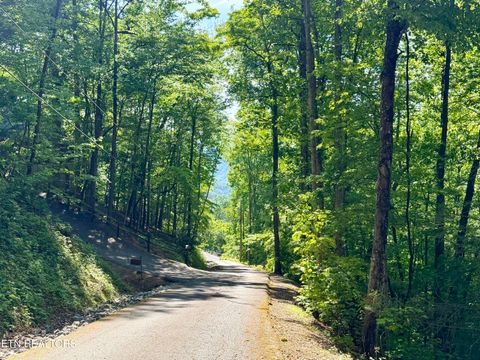 Tiny photo for 807 Old New Ground Rd, Gatlinburg, TN 37738 (MLS # 1340103)
