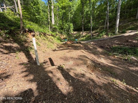 Tiny photo for 807 Old New Ground Rd, Gatlinburg, TN 37738 (MLS # 1340103)