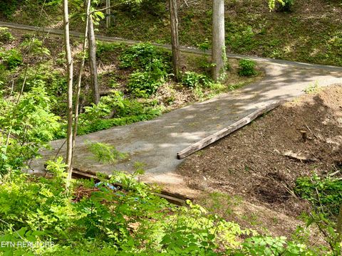 Tiny photo for 807 Old New Ground Rd, Gatlinburg, TN 37738 (MLS # 1340103)