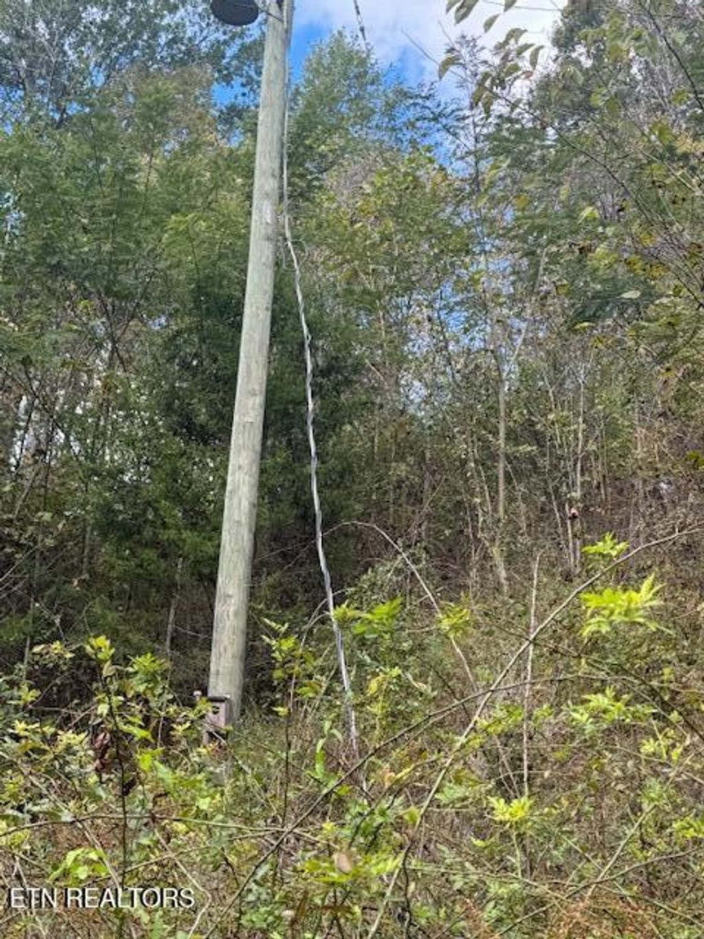 Photo of Chapman Hwy, Seymour, TN 37865 (MLS # 1296609)