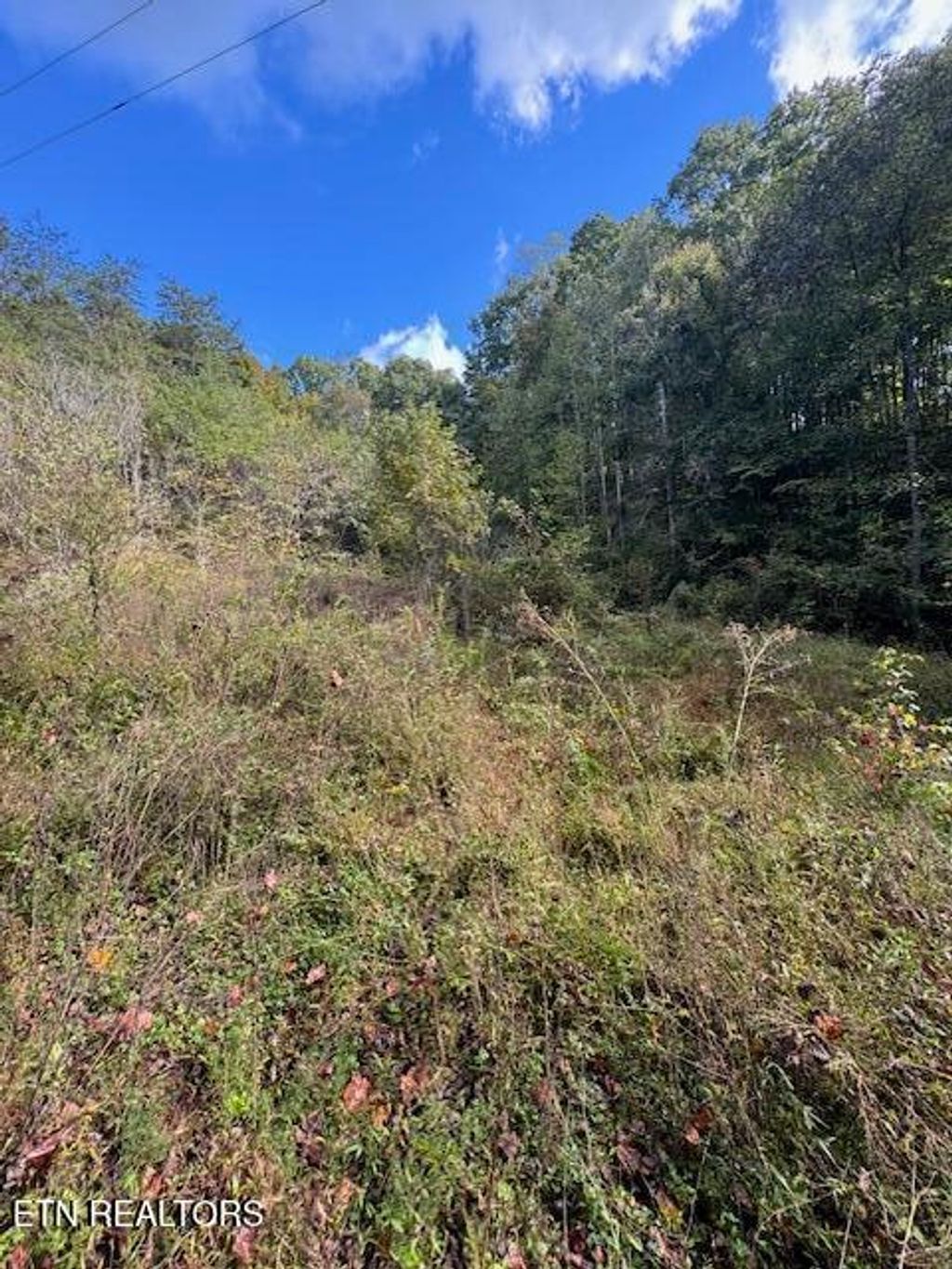 Photo of Chapman Hwy, Seymour, TN 37865 (MLS # 1296609)
