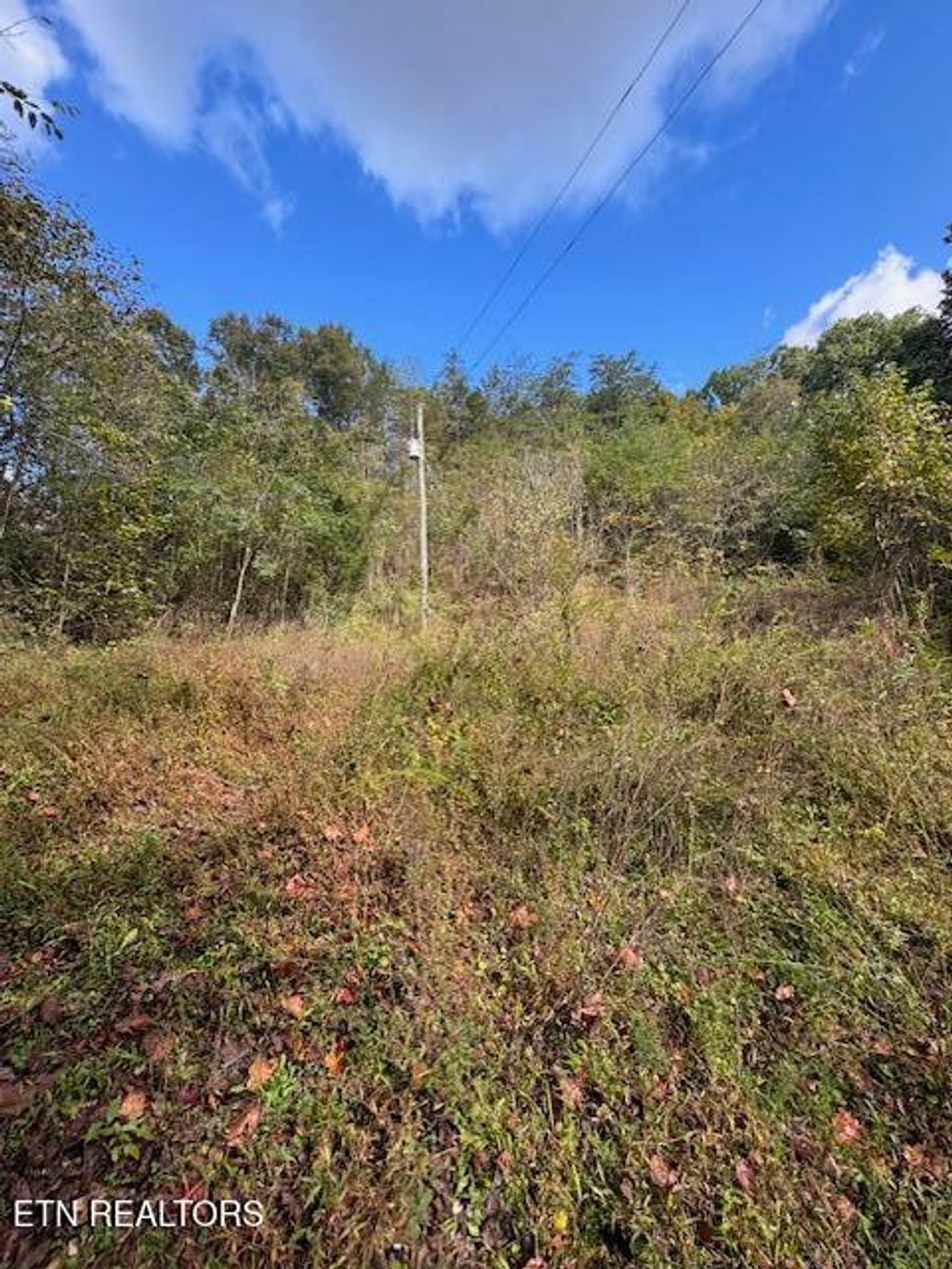 Photo of Chapman Hwy, Seymour, TN 37865 (MLS # 1296609)