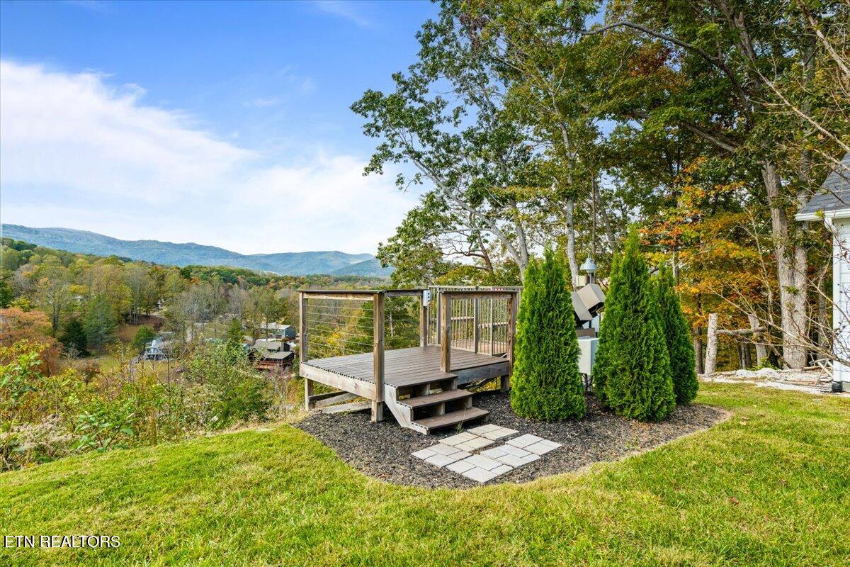 262 Bluff Trace