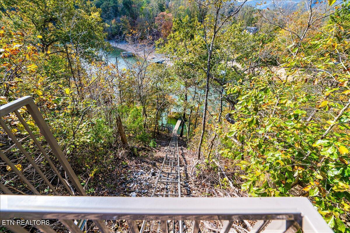 262 Bluff Trace