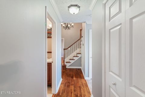 Tiny photo for 1148 Granville Conner Rd, Powell, TN 37849 (MLS # 1319404)