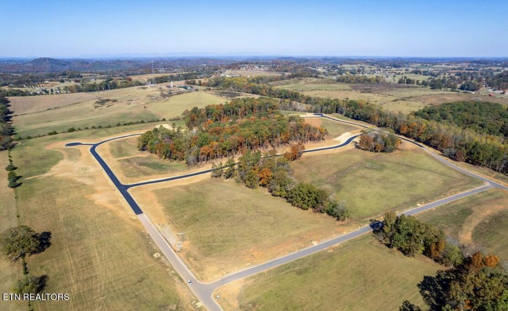 Photo of 114 Kellys View Drive, Greenback, TN 37742 (MLS # 1264894)