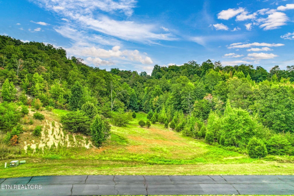 Photo of 398 W Mountain Drive, Rockwood, TN 37854 (MLS # 1354023)