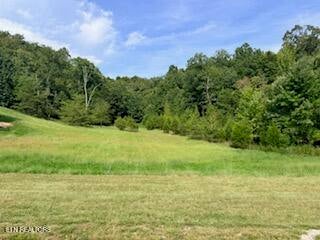 Photo of 398 W Mountain Drive, Rockwood, TN 37854 (MLS # 1354023)