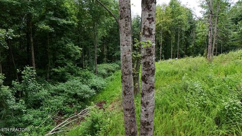 Tiny photo for Circle Drive, Harriman, TN 37748 (MLS # 1319275)