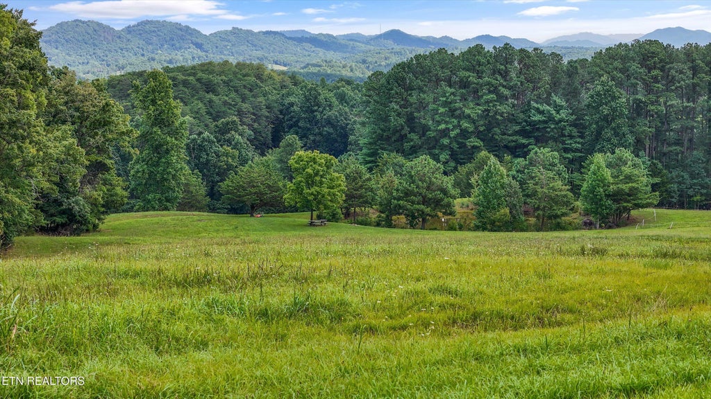 Photo of 2395 Mecca Pike, Englewood, TN 37329 (MLS # 1355182)