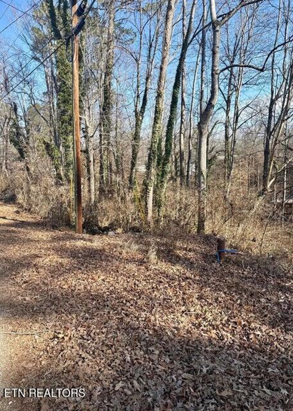 Photo of 4142 Mayflower Lane, Dandridge, TN 37725 (MLS # 1329767)