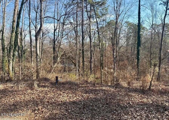 MAYFLOWER LN, DANDRIDGE, TN 37725 - Image 85ea03fcd8111d54e8c146cf1df38833/379839655