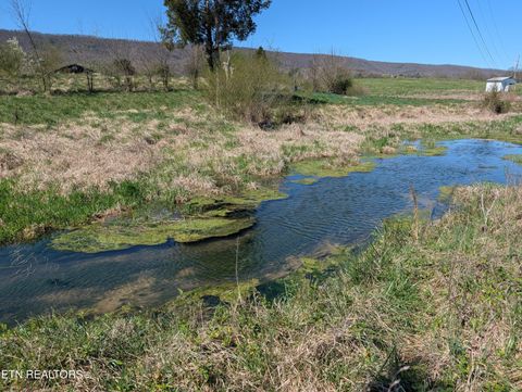 Tiny photo for 4637 Ideal Valley Rd, Spring City, TN 37381 (MLS # 1332952)