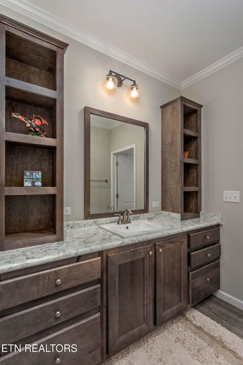 Tiny photo for 4637 Ideal Valley Rd, Spring City, TN 37381 (MLS # 1332952)