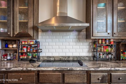 Tiny photo for 4637 Ideal Valley Rd, Spring City, TN 37381 (MLS # 1332952)