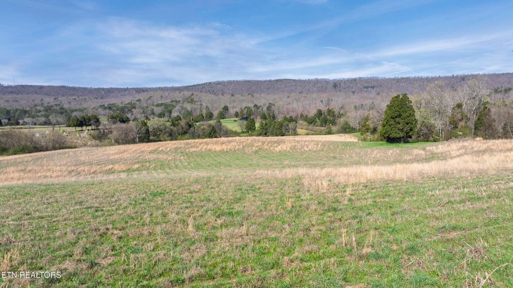 Photo of 4637 Ideal Valley Rd, Spring City, TN 37381 (MLS # 1332952)