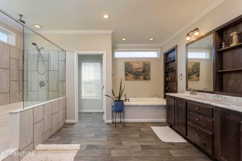 Tiny photo for 4637 Ideal Valley Rd, Spring City, TN 37381 (MLS # 1332952)