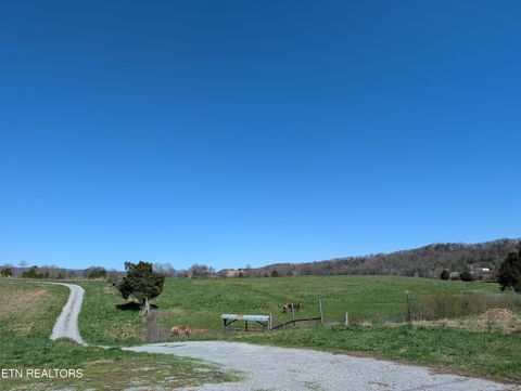 Tiny photo for 4637 Ideal Valley Rd, Spring City, TN 37381 (MLS # 1332952)