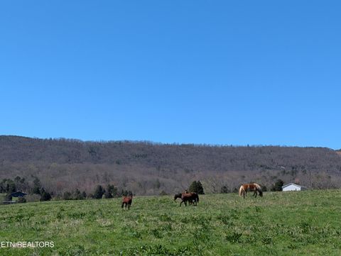 Tiny photo for 4637 Ideal Valley Rd, Spring City, TN 37381 (MLS # 1332952)