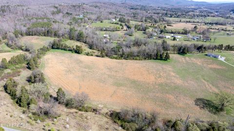 Tiny photo for 4637 Ideal Valley Rd, Spring City, TN 37381 (MLS # 1332952)